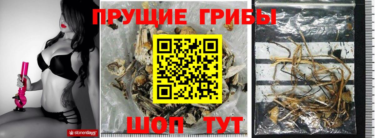 Псилоцибиновые грибы ЛСД Качканар