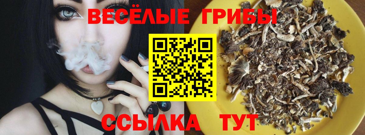 A-PVP Качканар