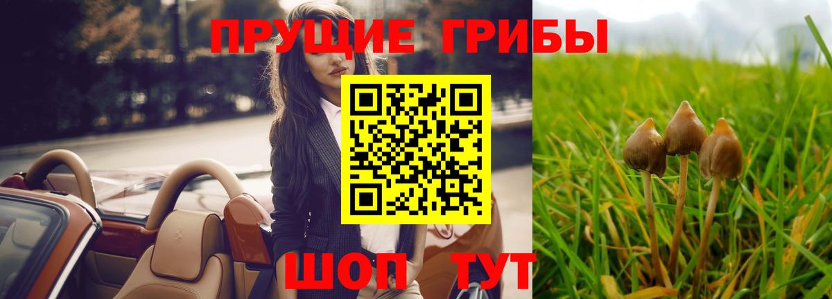Качканар  Псилоцибиновые грибы MAGIC MUSHROOMS  Вход с VPN  Галлюциногенные грибы ЛСД 